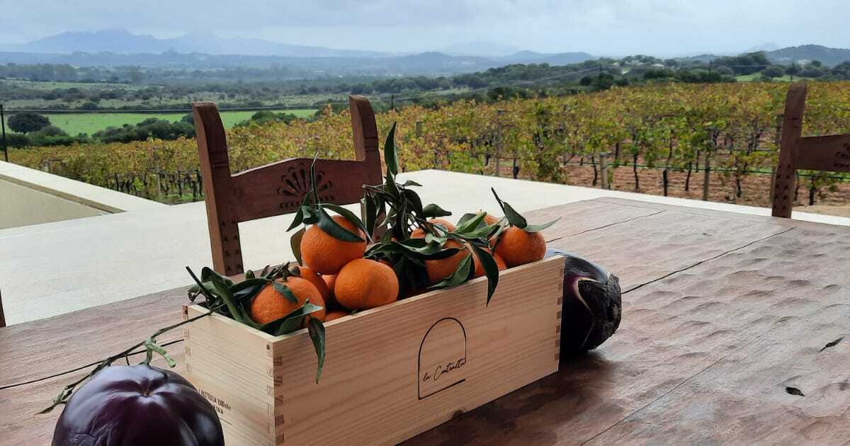https://www.altreguesthouse.com/wp-content/uploads/2021/12/IMG-20211215-WA0032-1.jpg